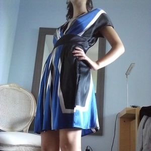 Express Silk Dress